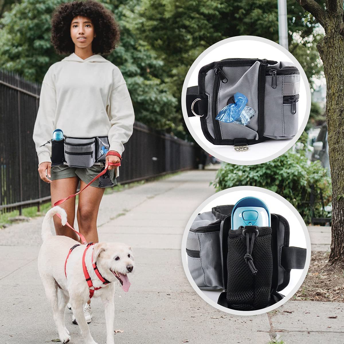 Bolsa de golosinas para perros - Pet Supplies Rewards reseña y precio