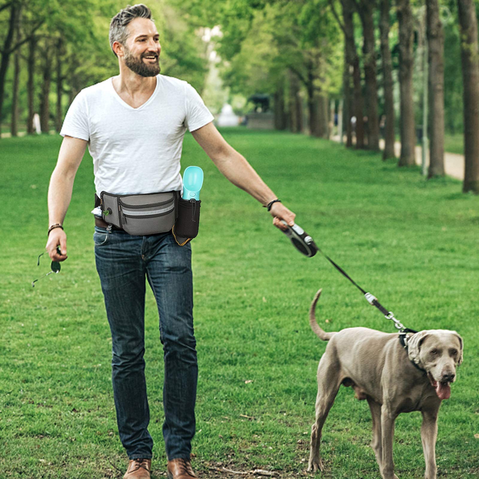 Bolsa de golosinas para perros - Pet Supplies Rewards reseña y precio