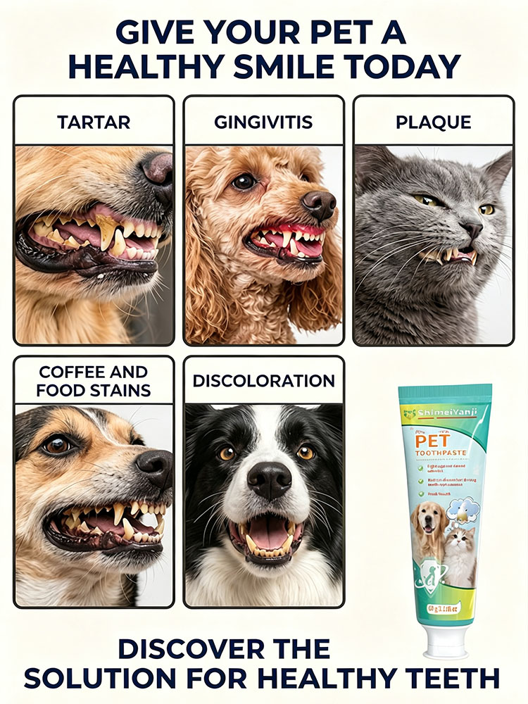 POZOAMIS Pasta de dientes para - Pet Supplies Young reseña y precio