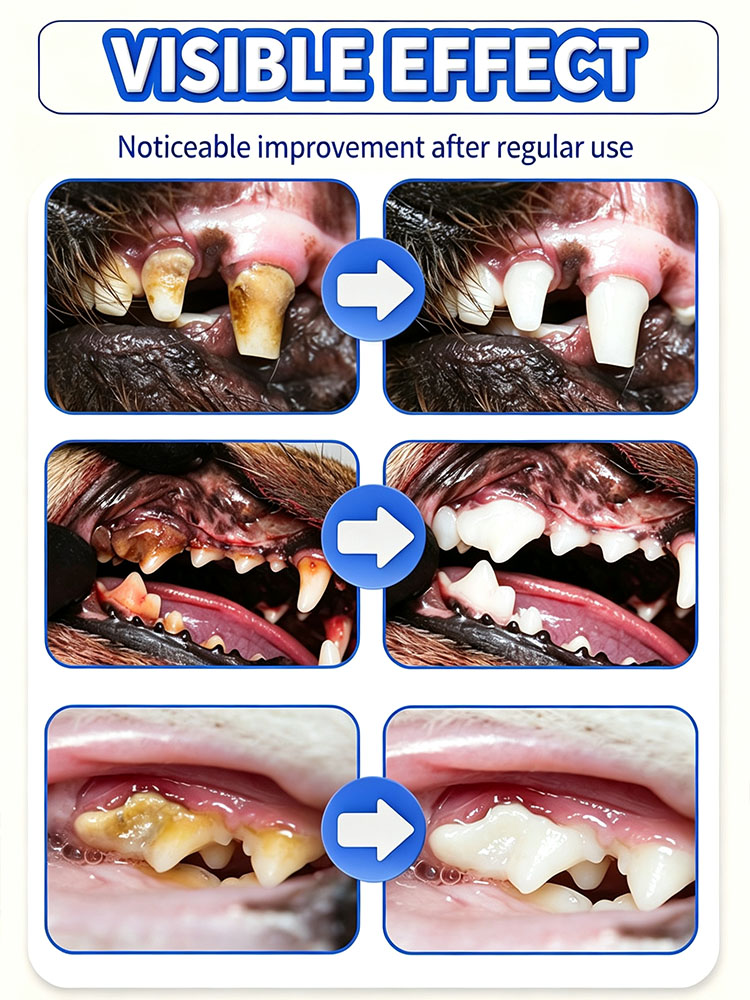 POZOAMIS Pasta de dientes para - Pet Supplies Young reseña y precio