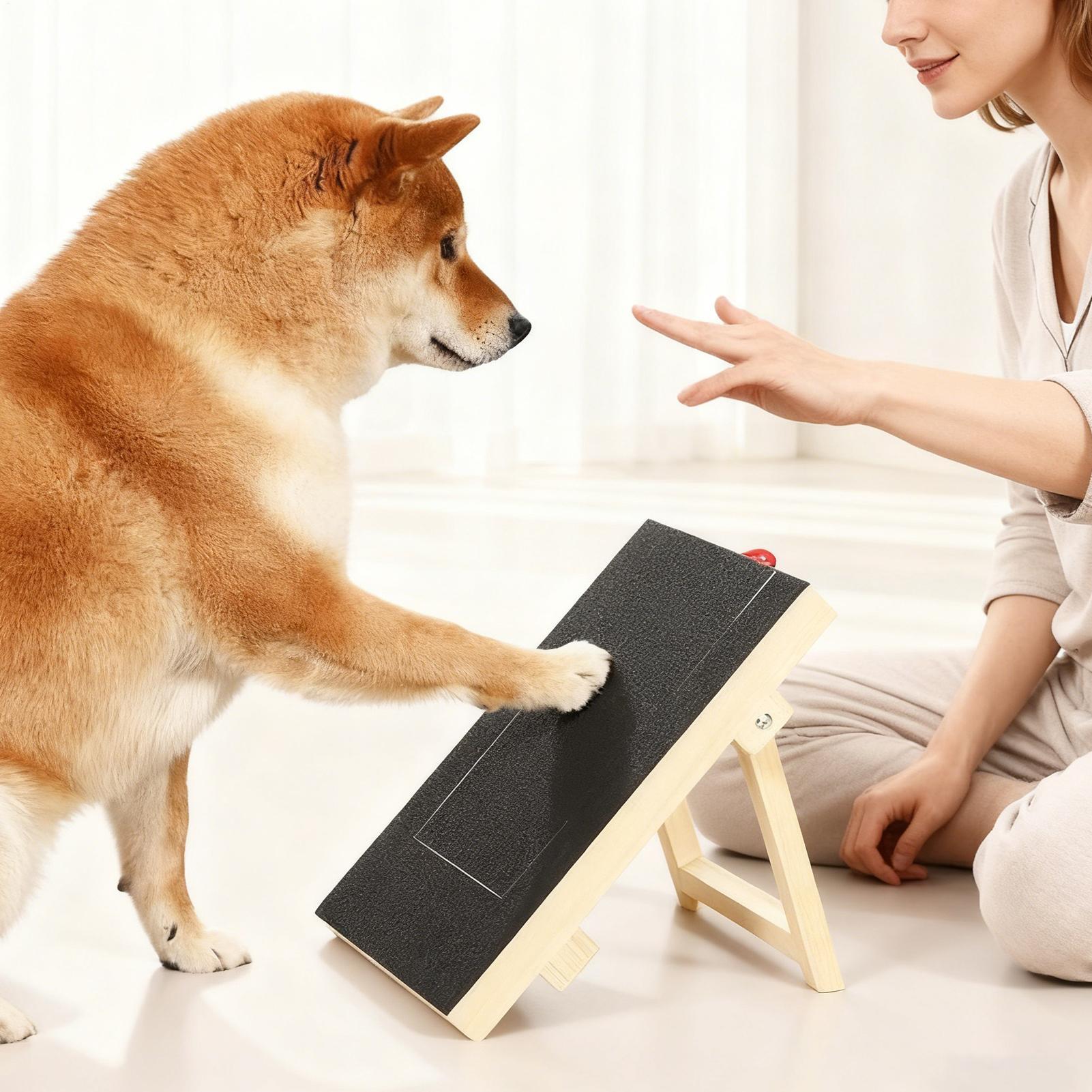 Tabla de limar uñas para perro - Pet Nail Grinder reseña y precio