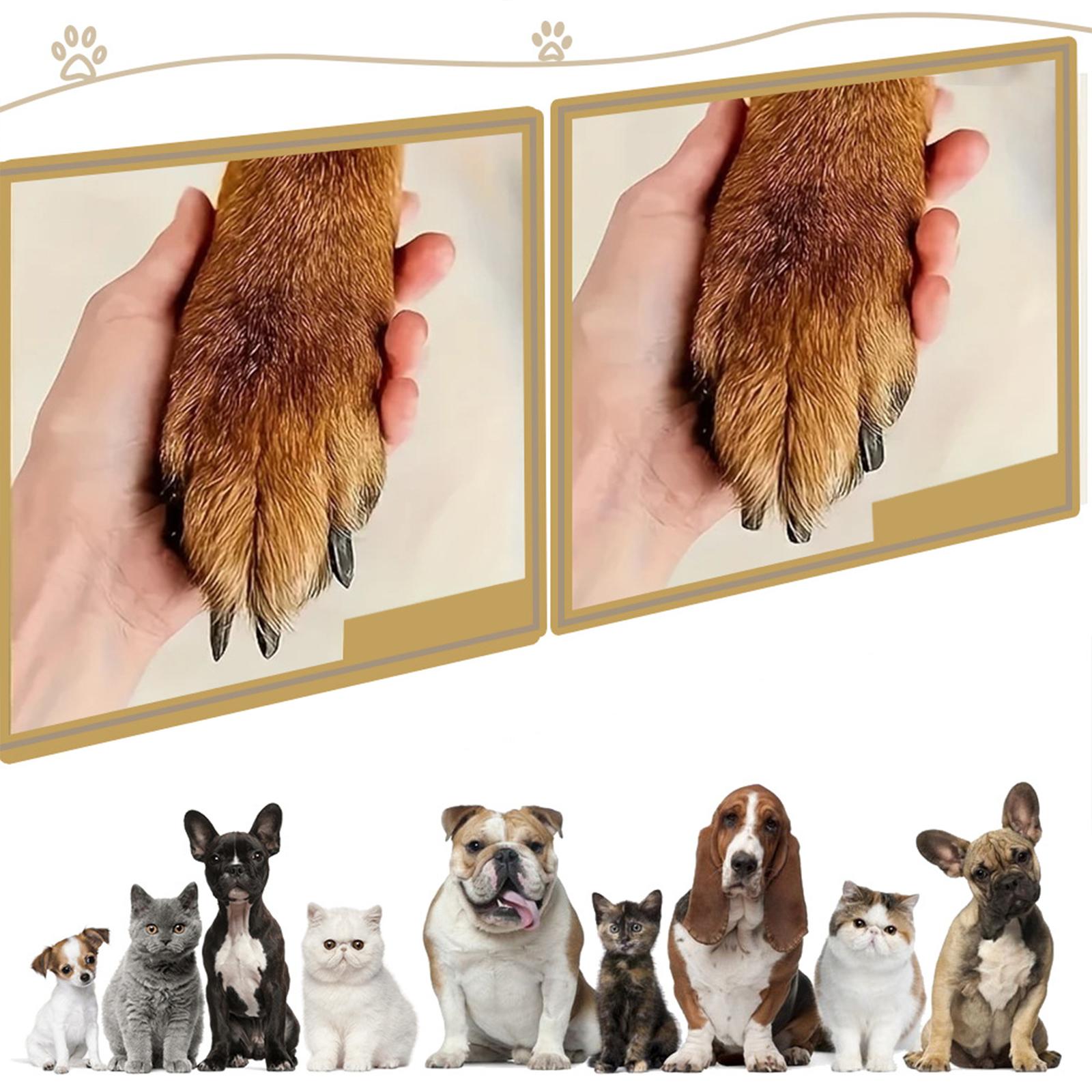 Equipo de Peluquería Canina, L - Pet Nail Grinder reseña y precio