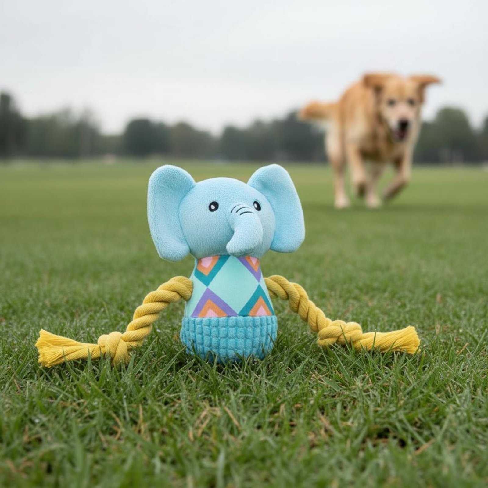 Juguete masticable suave para  - Pet Supplies Young reseña y precio
