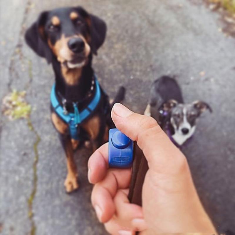 Nuevo Clicker de Anillo para M - Training Clicker Dog reseña y precio