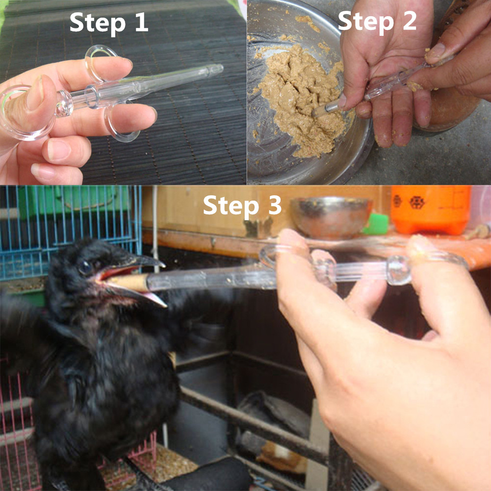 Jeringa para Alimentación de C - Pet Supplies Young reseña y precio