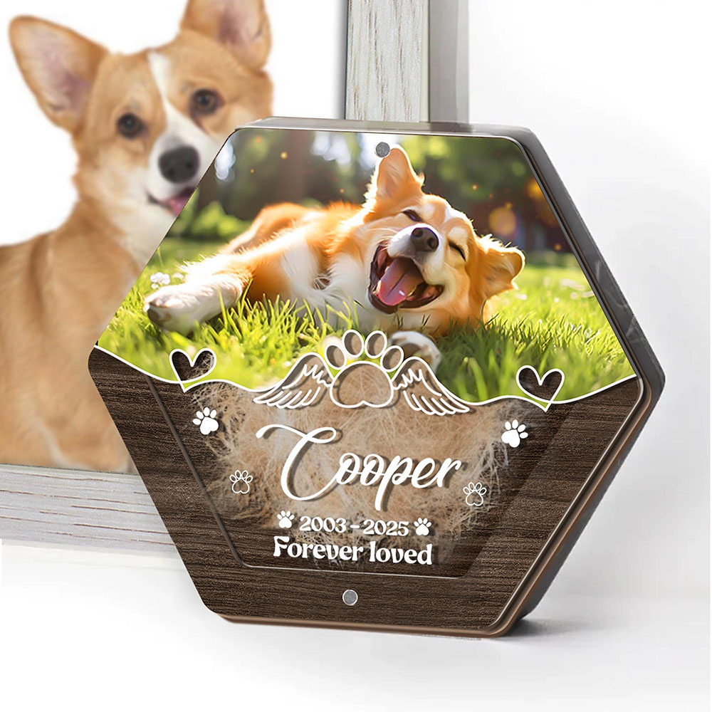 Caja de almacenamiento de pelo - Pet Supplies Stores reseña y precio