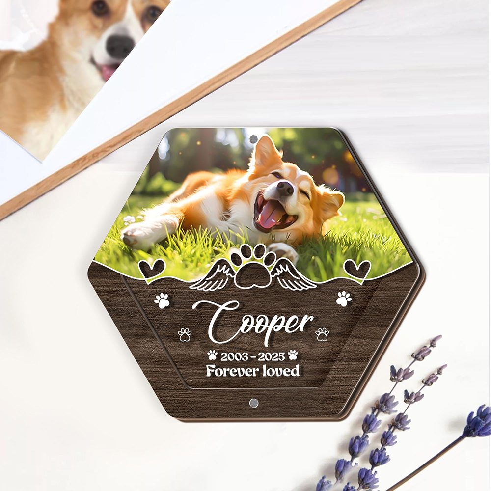 Caja de almacenamiento de pelo - Pet Supplies Stores reseña y precio