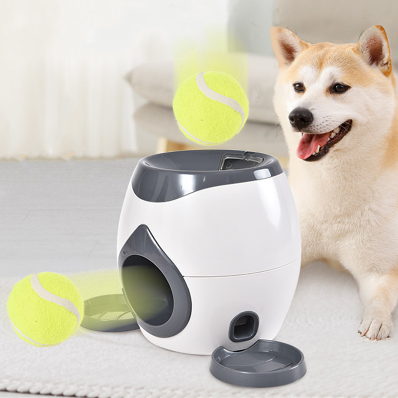 Juguete Interactivo 2 en 1 par - Pet Supplies Rewards reseña y precio