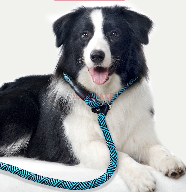 Cuerda P a prueba de explosion - Pet Supplies Young reseña y precio
