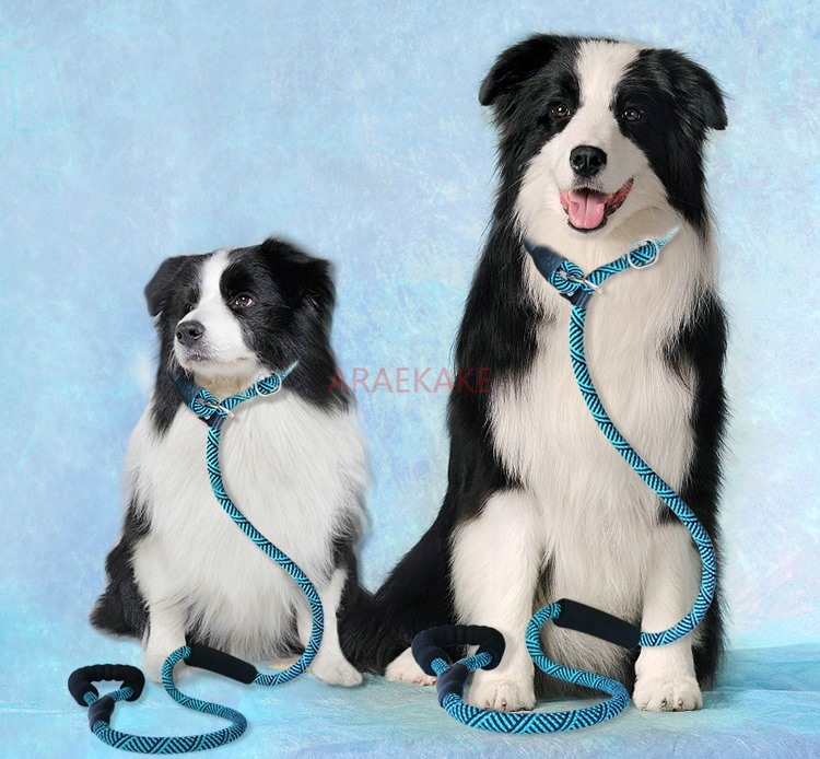 Cuerda P a prueba de explosion - Pet Supplies Young reseña y precio