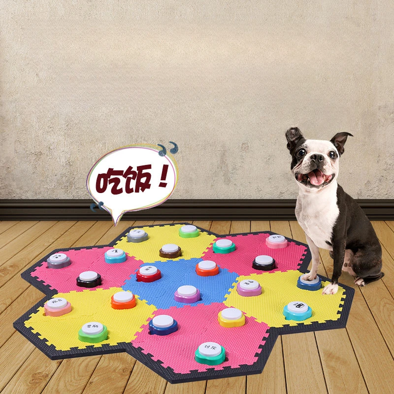 Mini mascota de comunicación g - Training Clicker Dog reseña y precio