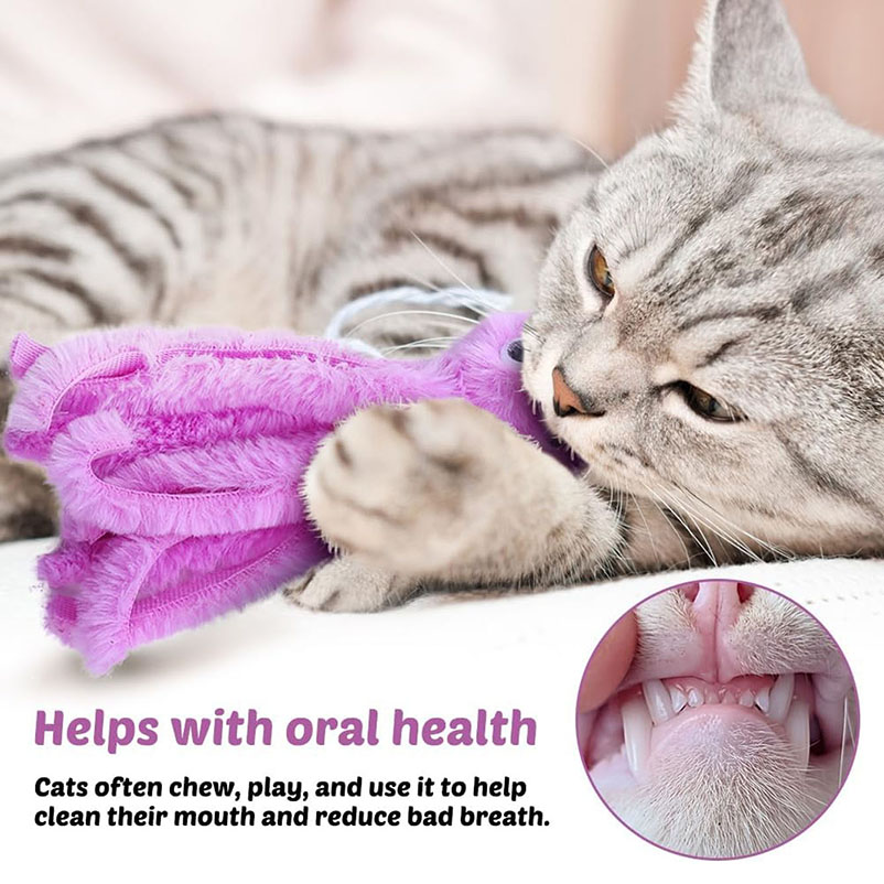 Lindos juguetes para gatos de  - Pet Supplies Young reseña y precio