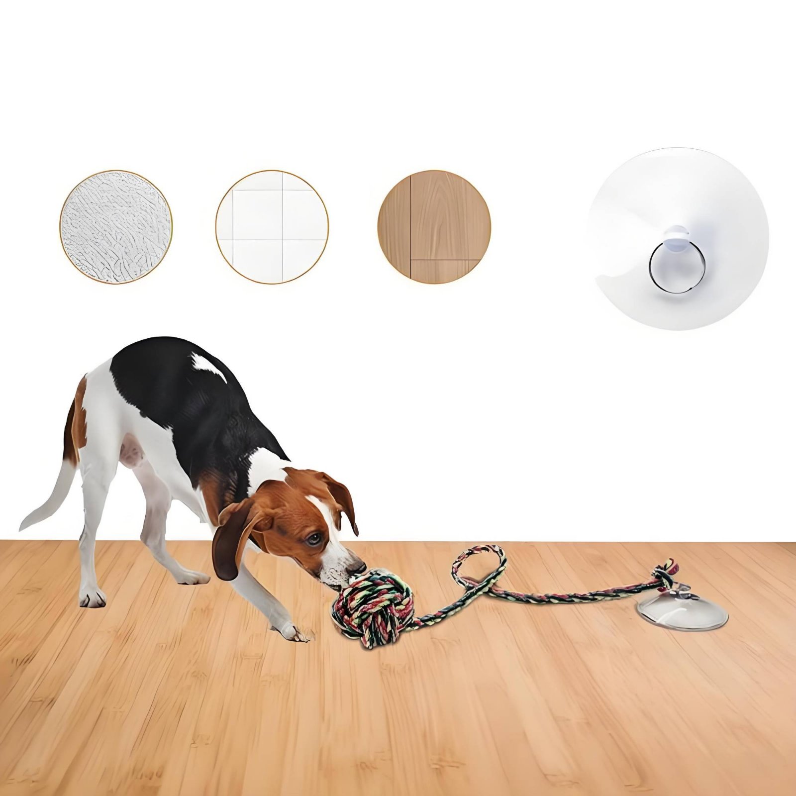 Juguete para Perros con Disco  - Pet Supplies Young reseña y precio