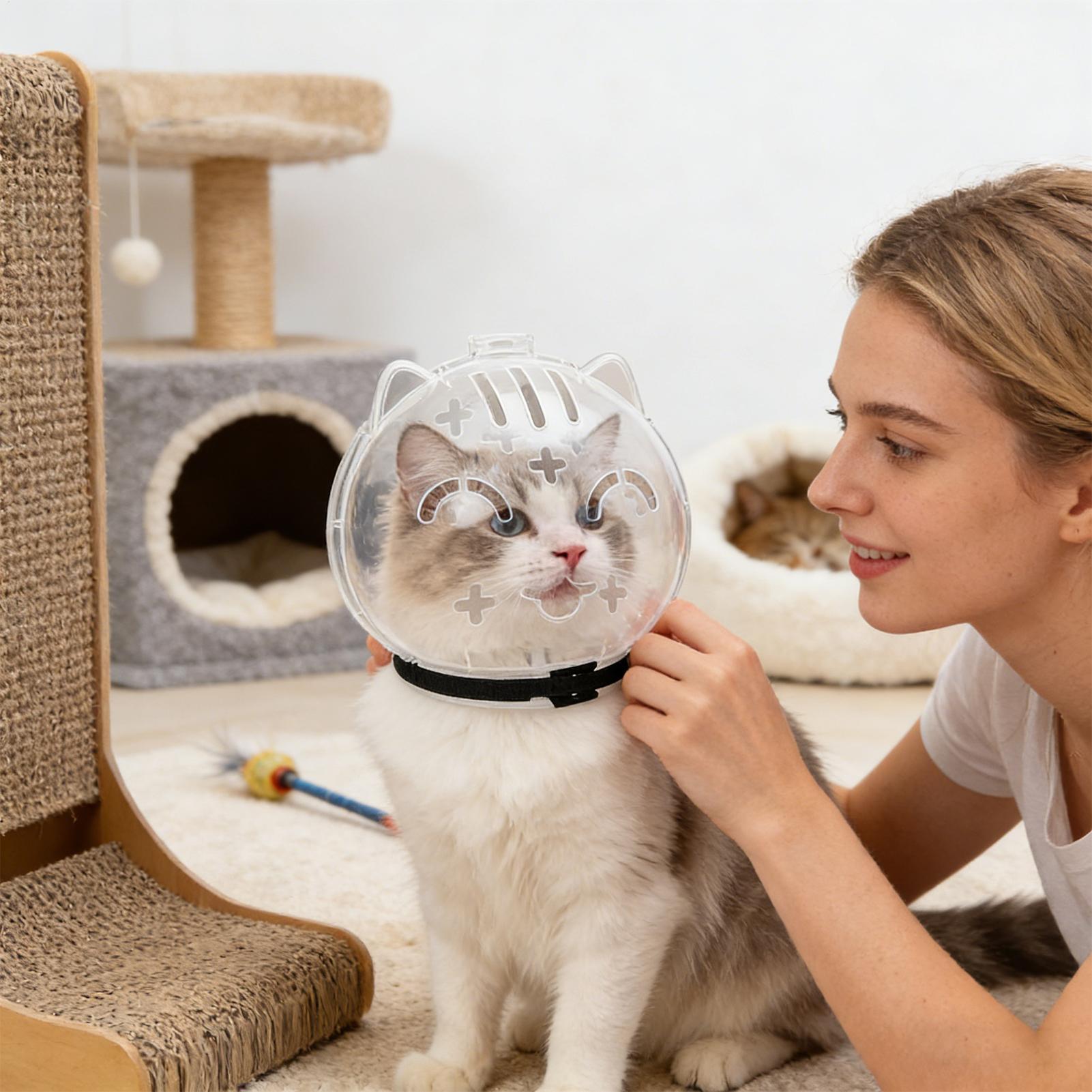Bozal Transpirable para Gatos, - Pet Supplies Young reseña y precio