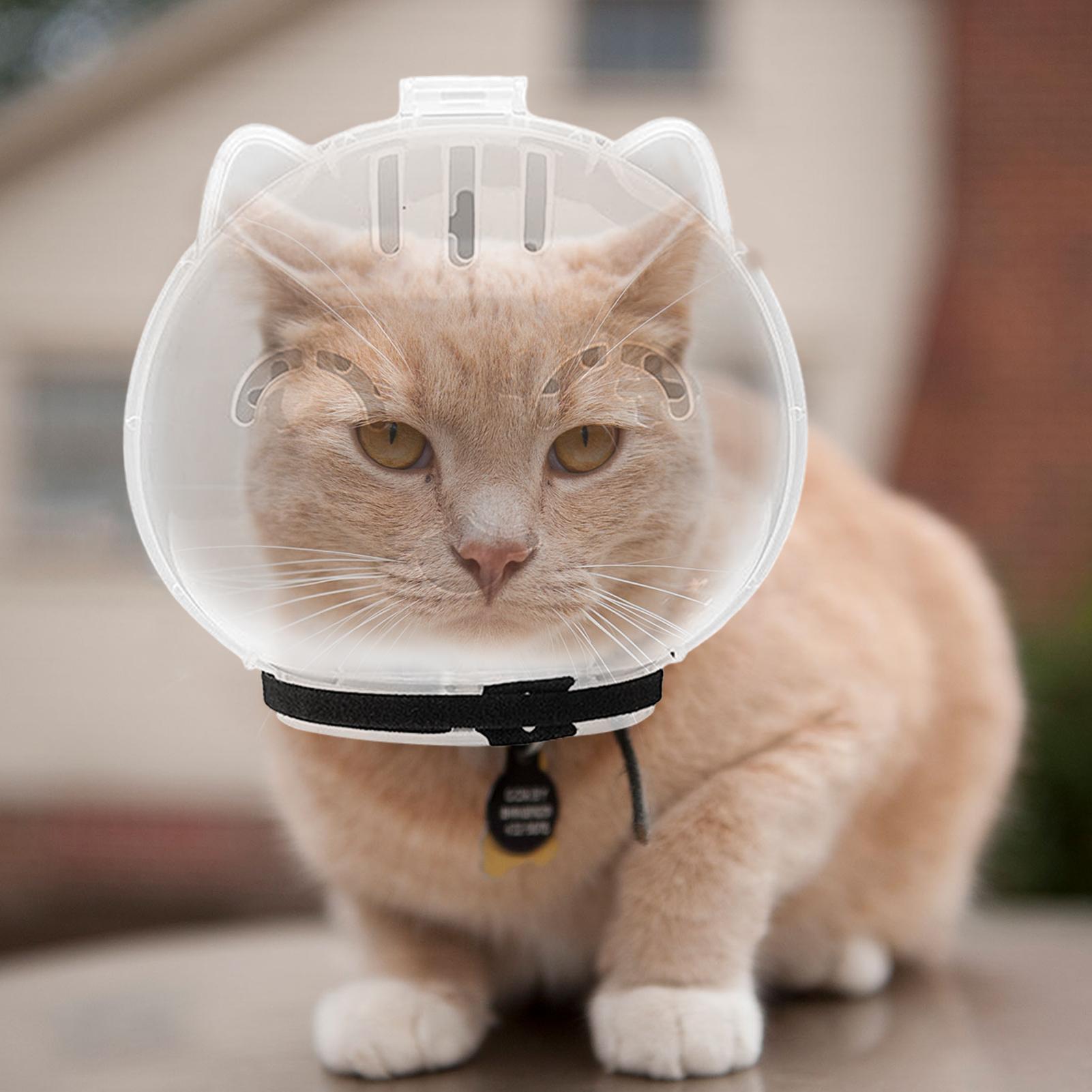 Bozal Transpirable para Gatos, - Pet Supplies Young reseña y precio