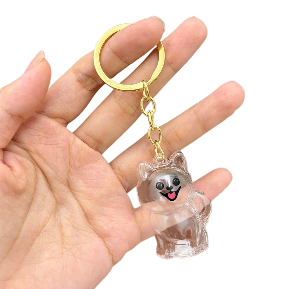 Caja de almacenamiento de pelo - Pet Supplies Stores reseña y precio