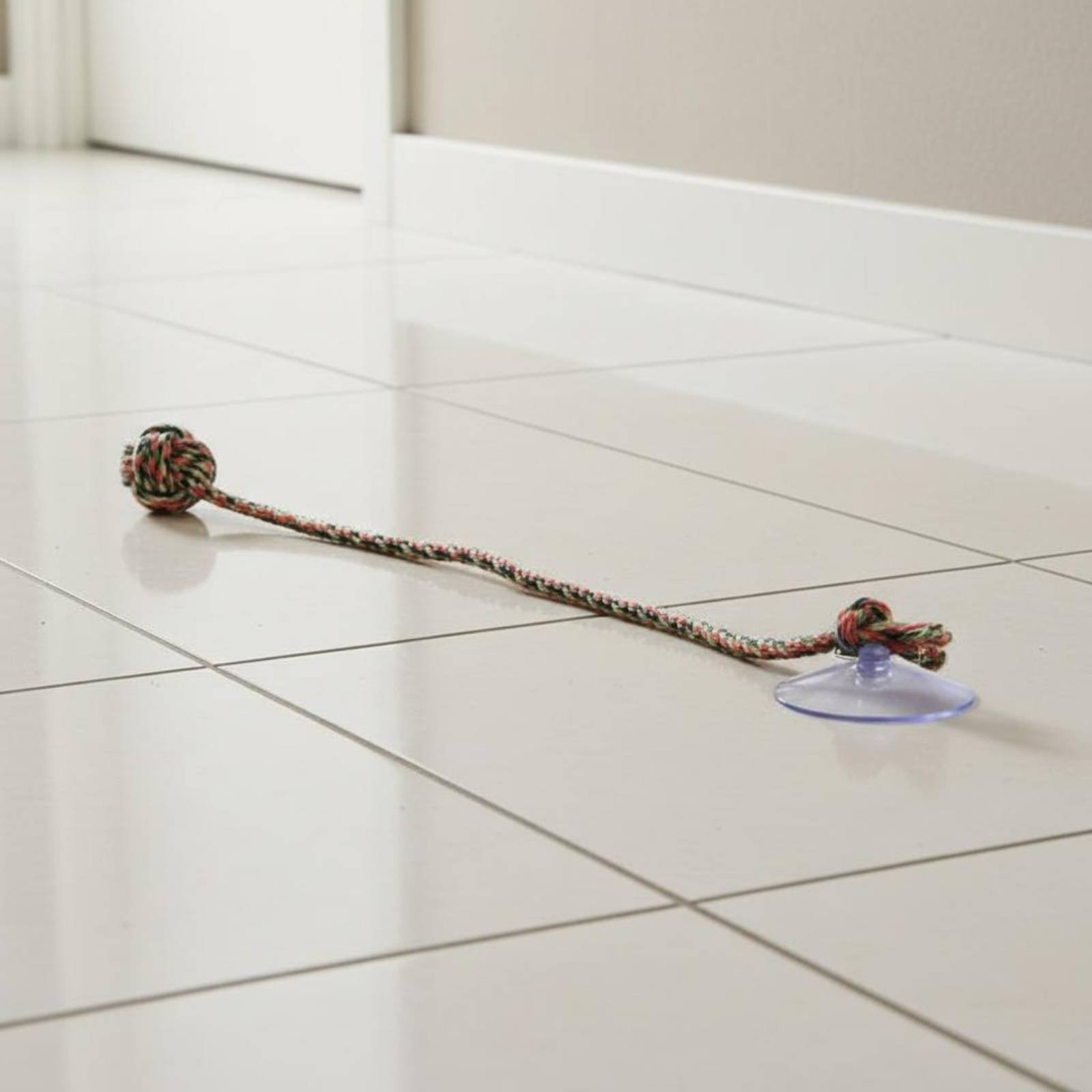 Juguete para Perros con Ventos - Pet Supplies Young reseña y precio