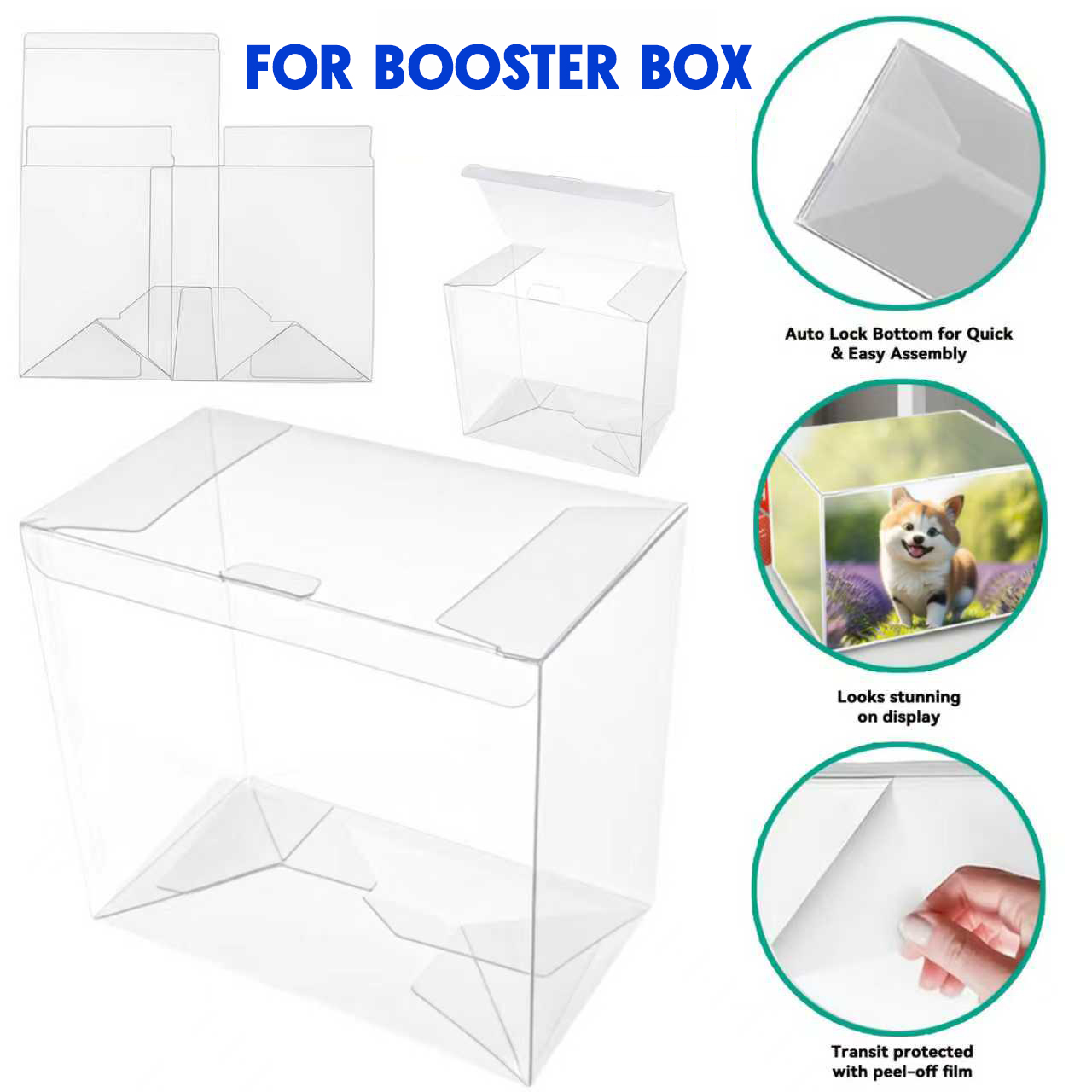 Caja protectora transparente p - Pet Supplies Stores reseña y precio